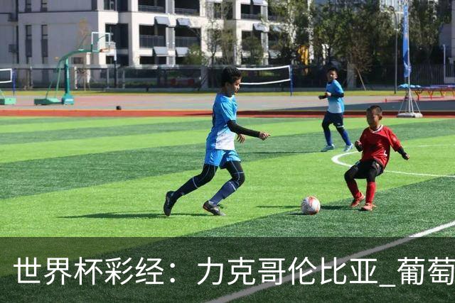 世界杯彩经：力克哥伦比亚 葡萄牙抢占榜首