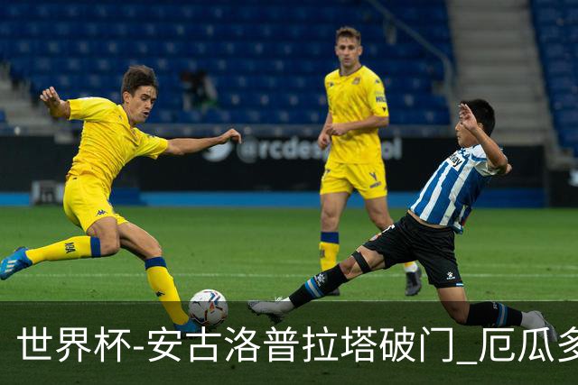 世界杯-安古洛普拉塔破门 厄瓜多尔2-1逆转德国出线